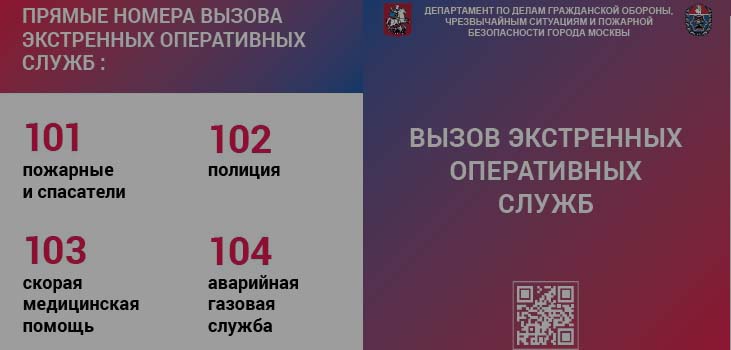 новости дзм